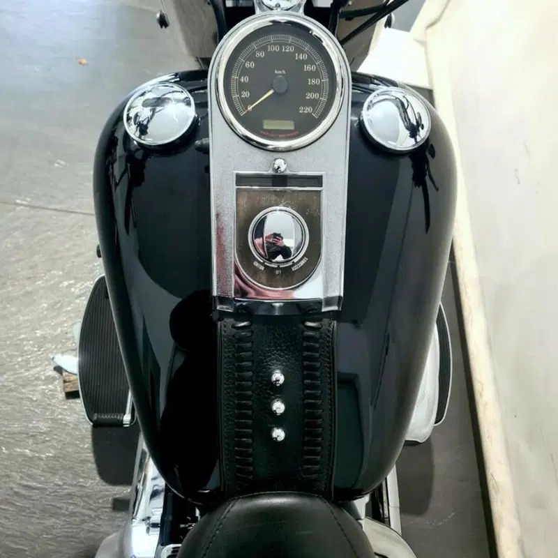 Harley-Davidson 1584 Fat Boy (2006 - 07) - FLSTF (7)
