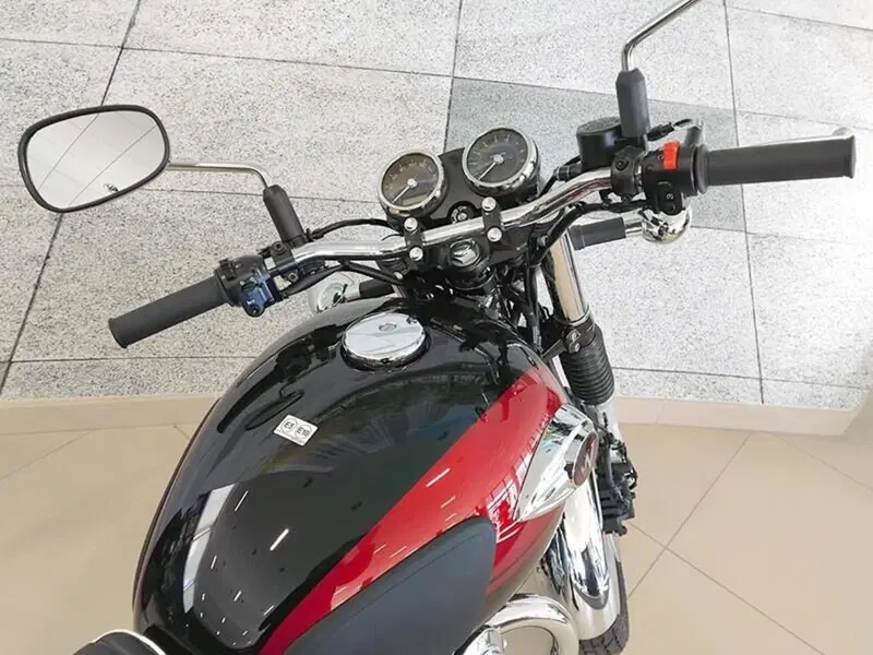 Kawasaki W 800 (2021 - 26) (3)