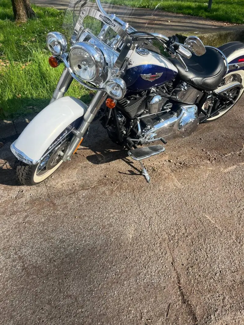Harley-Davidson 1584 Deluxe (2007 - 08) - FLSTN (2)