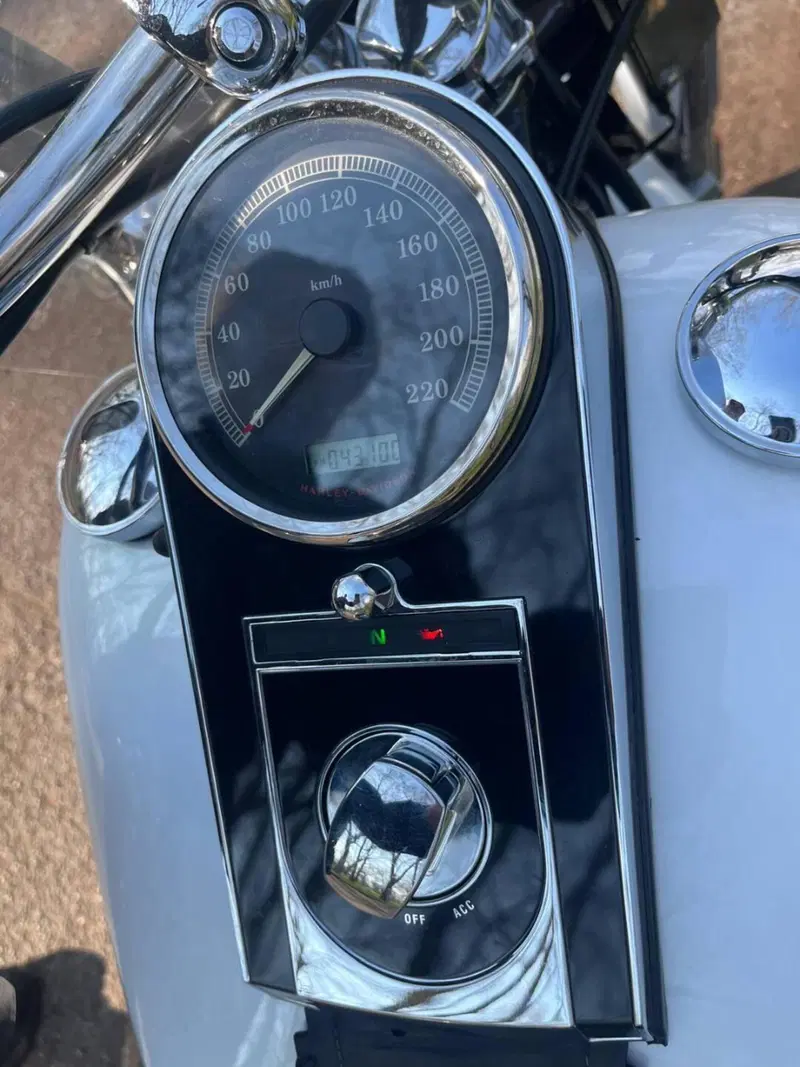 Harley-Davidson 1584 Deluxe (2007 - 08) - FLSTN (3)