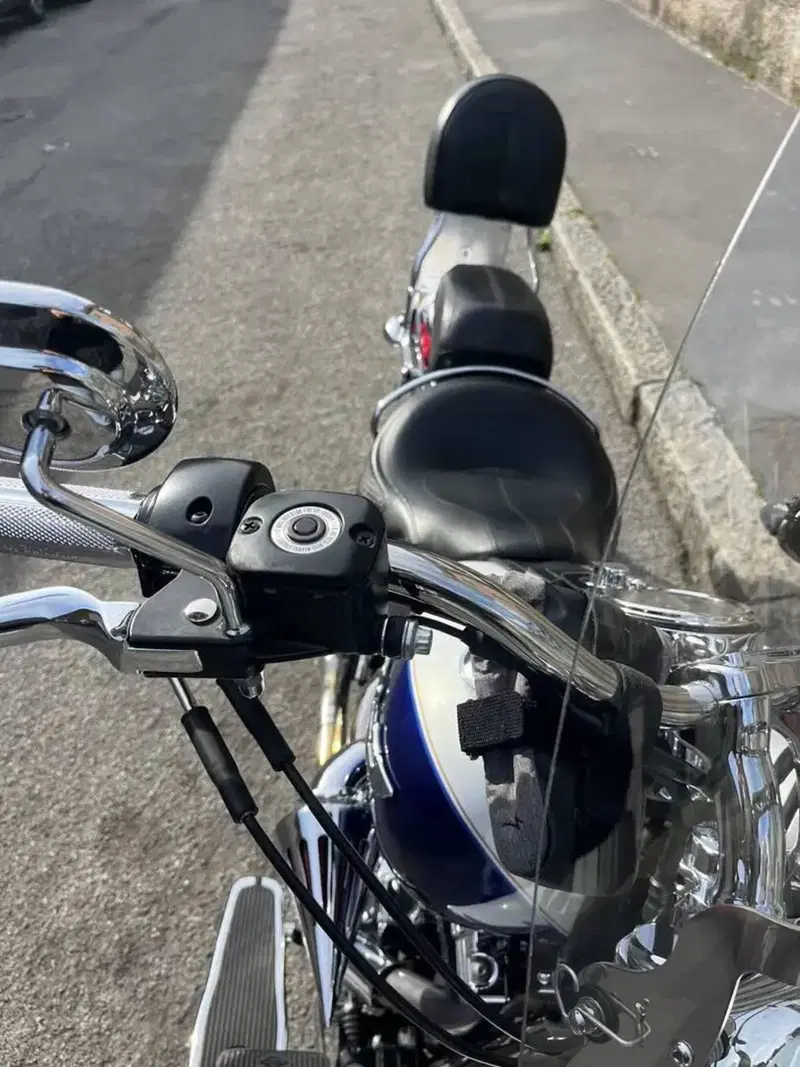 Harley-Davidson 1584 Deluxe (2007 - 08) - FLSTN (6)