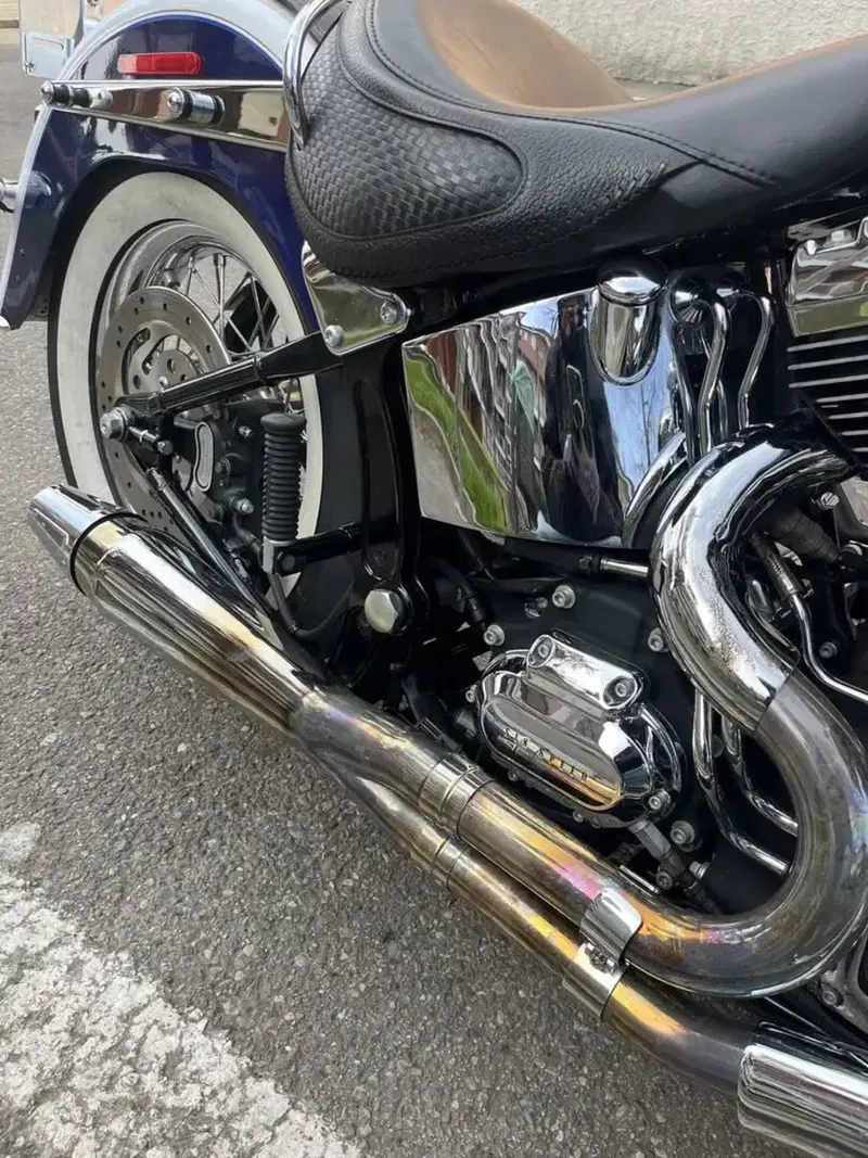 Harley-Davidson 1584 Deluxe (2007 - 08) - FLSTN (7)