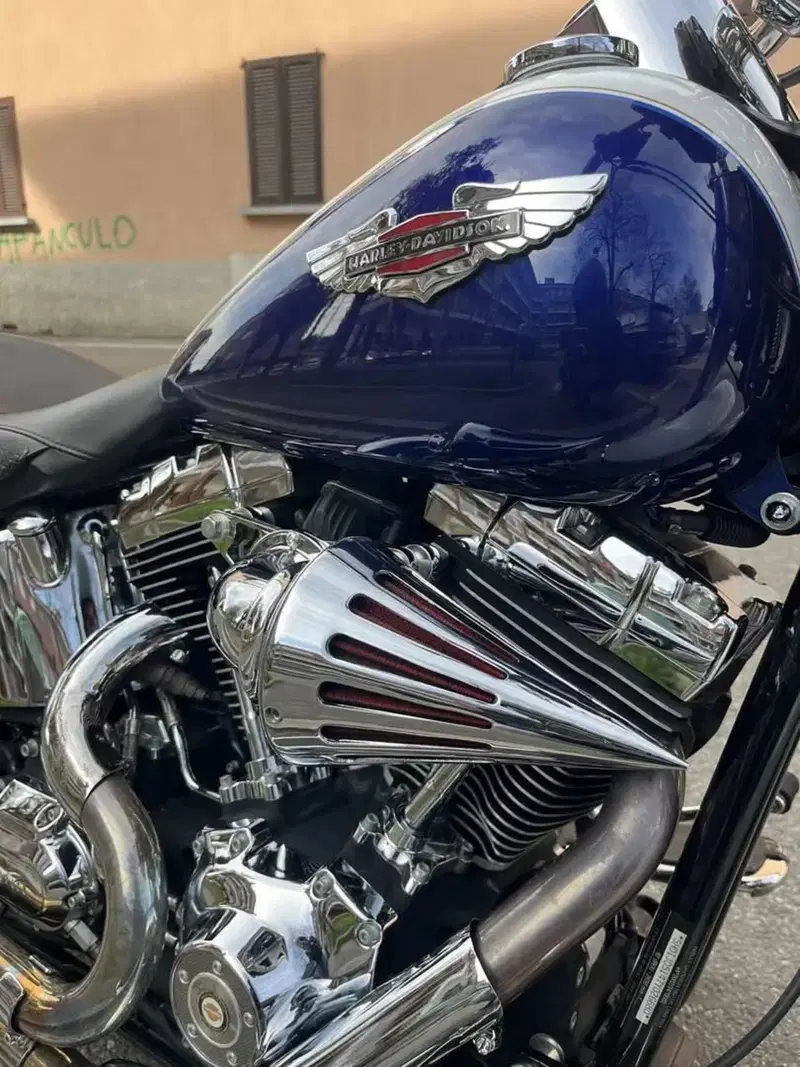 Harley-Davidson 1584 Deluxe (2007 - 08) - FLSTN (8)