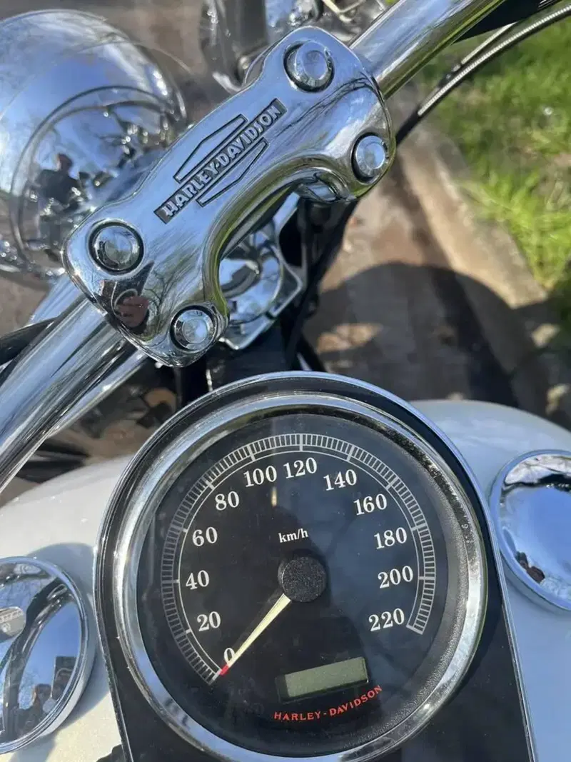 Harley-Davidson 1584 Deluxe (2007 - 08) - FLSTN (10)