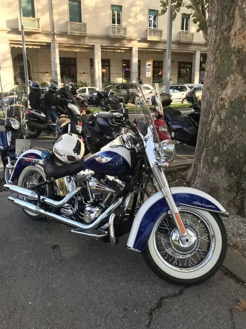 Harley-Davidson 1584 Deluxe (2007 - 08) - FLSTN (11)