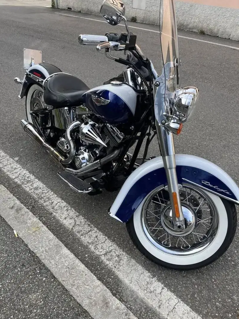 Harley-Davidson 1584 Deluxe (2007 - 08) - FLSTN (12)