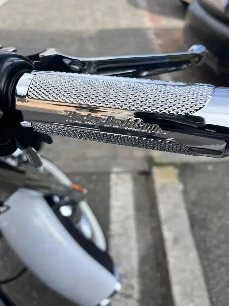 Harley-Davidson 1584 Deluxe (2007 - 08) - FLSTN (14)