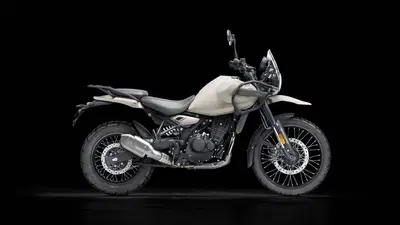 Royal Enfield Himalayan 450 (2024 - 26) usata