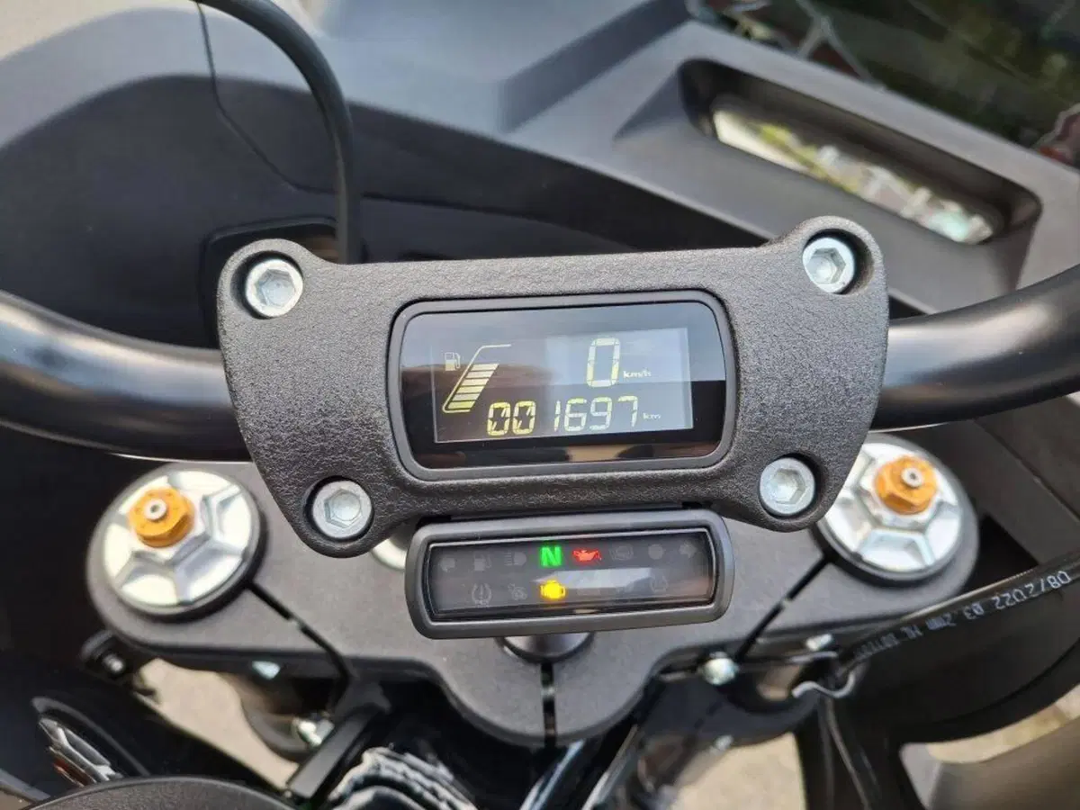 Harley-Davidson Low Rider ST (2022 - 24) (3)