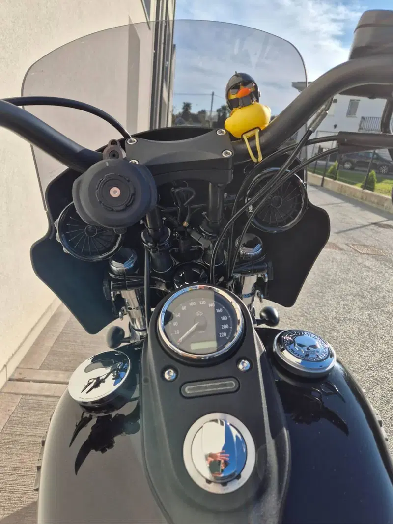 Harley-Davidson 1690 Street Bob (2017) - FXDB (5)