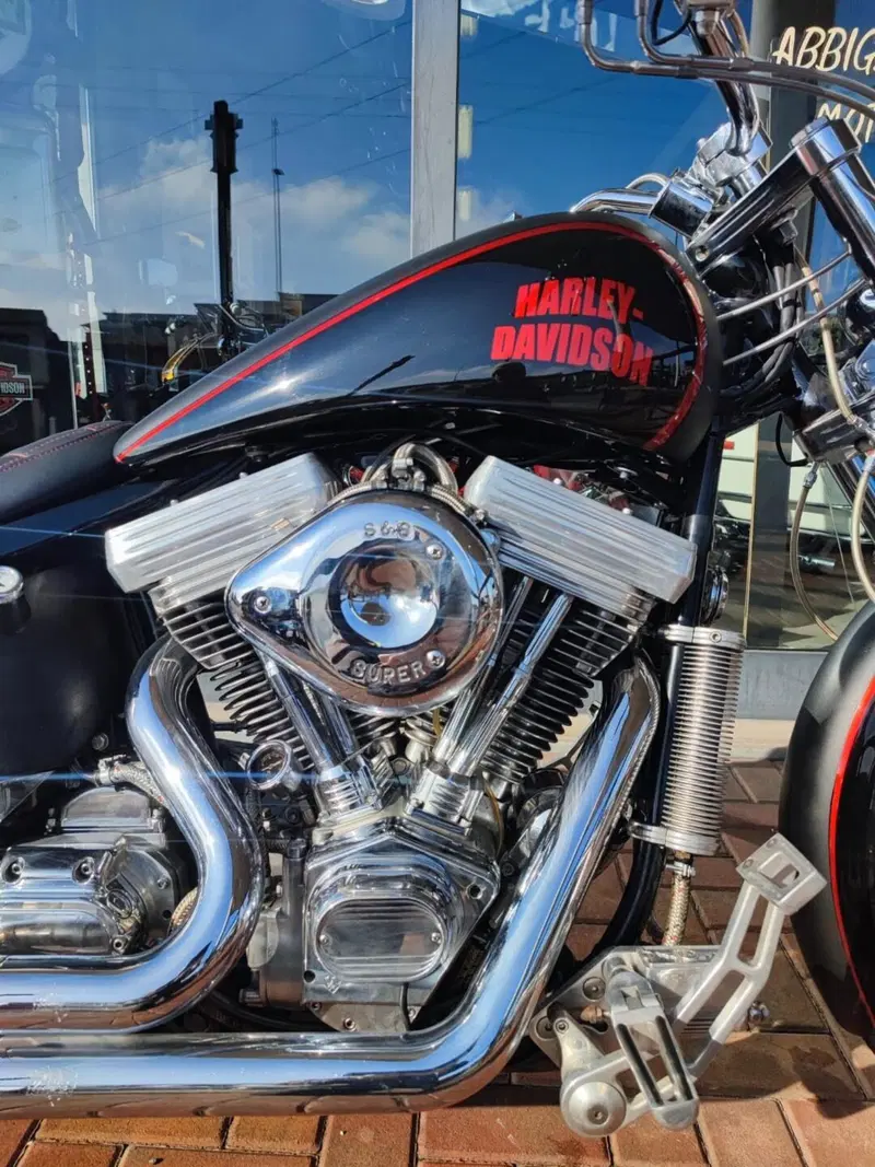 Harley-Davidson 1450 Springer (2001 - 03) - FXSTS (7)
