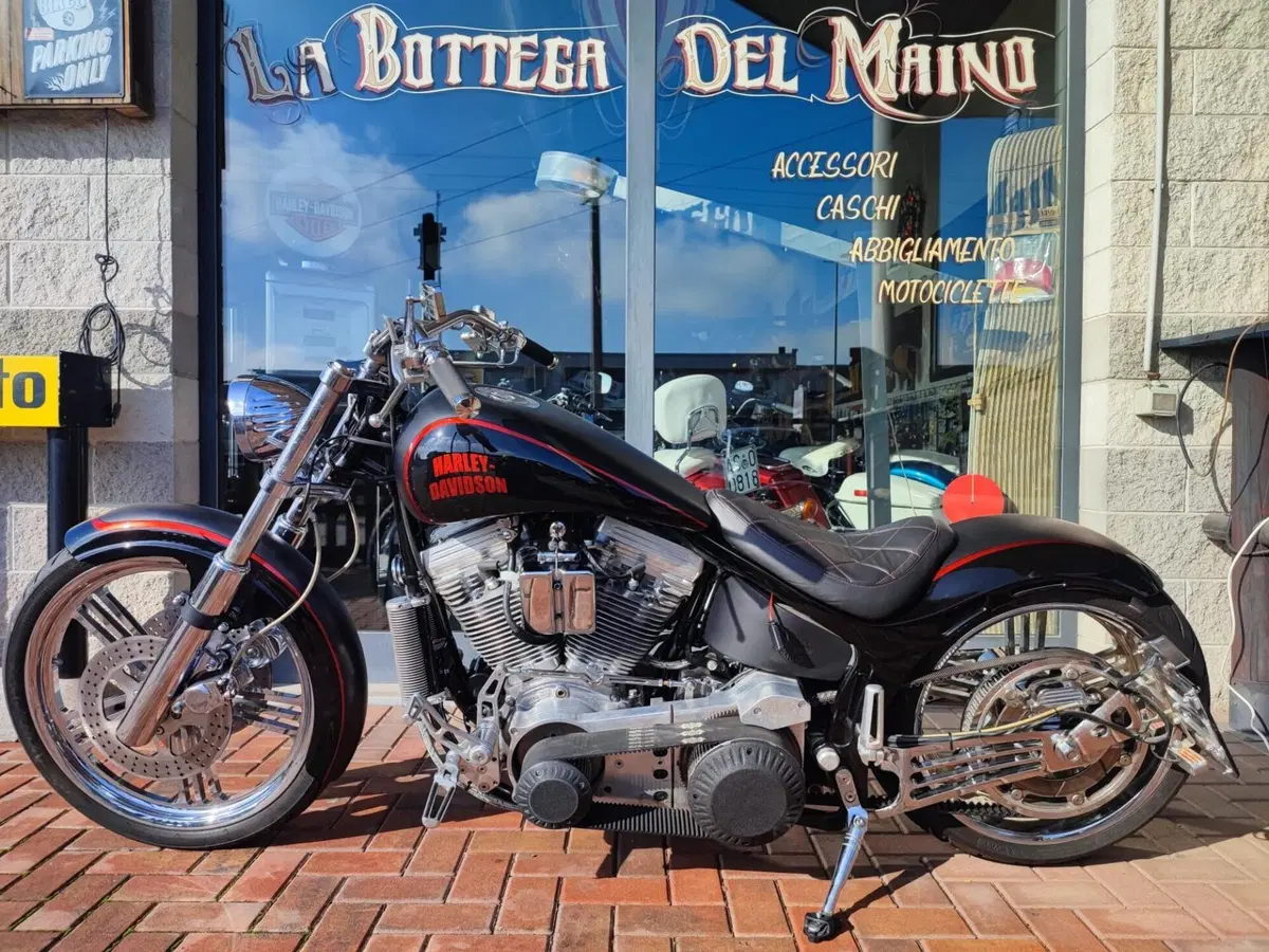 Harley-Davidson 1450 Springer (2001 - 03) - FXSTS (11)