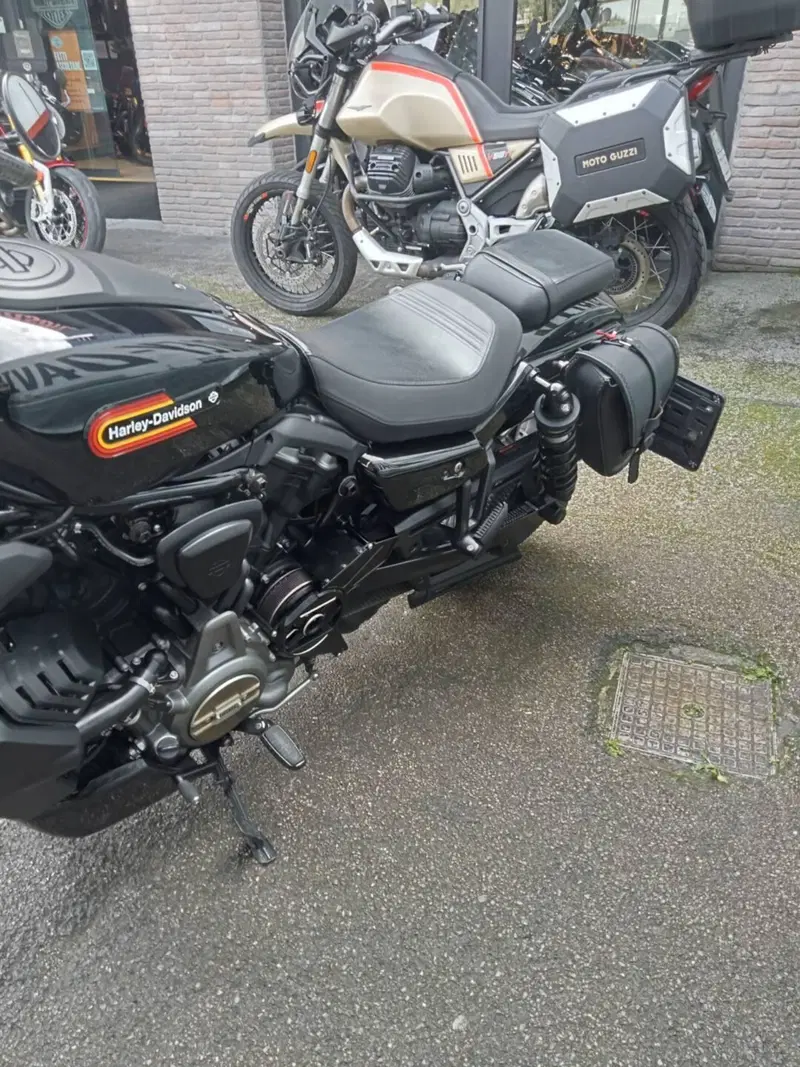 Harley-Davidson Nightster Special (2023 - 26) (4)