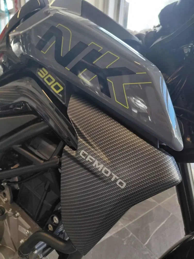 CFMOTO 300NK (2021 - 26) (3)