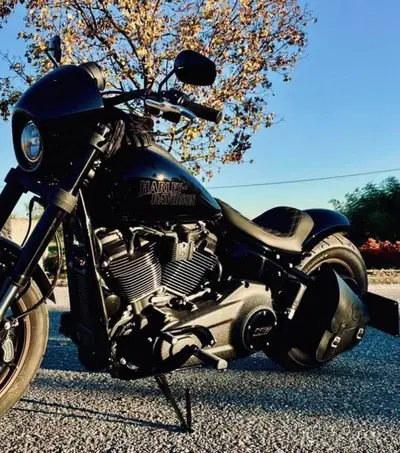 Harley-Davidson Low Rider S (2022 - 24) usata