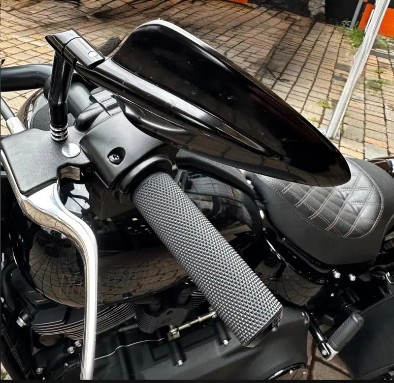 Harley-Davidson Low Rider S (2022 - 24) (8)