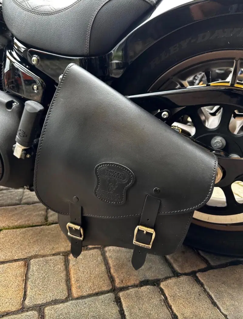Harley-Davidson Low Rider S (2022 - 24) (9)