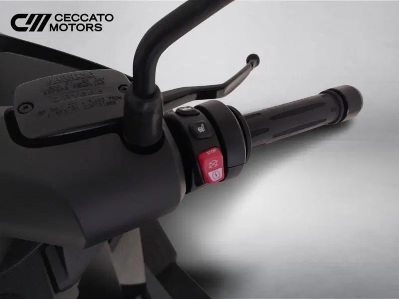 Bmw C 400 GT (2021 - 24) (10)