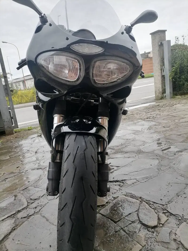 Triumph Daytona T 595 (1996 - 02) (2)
