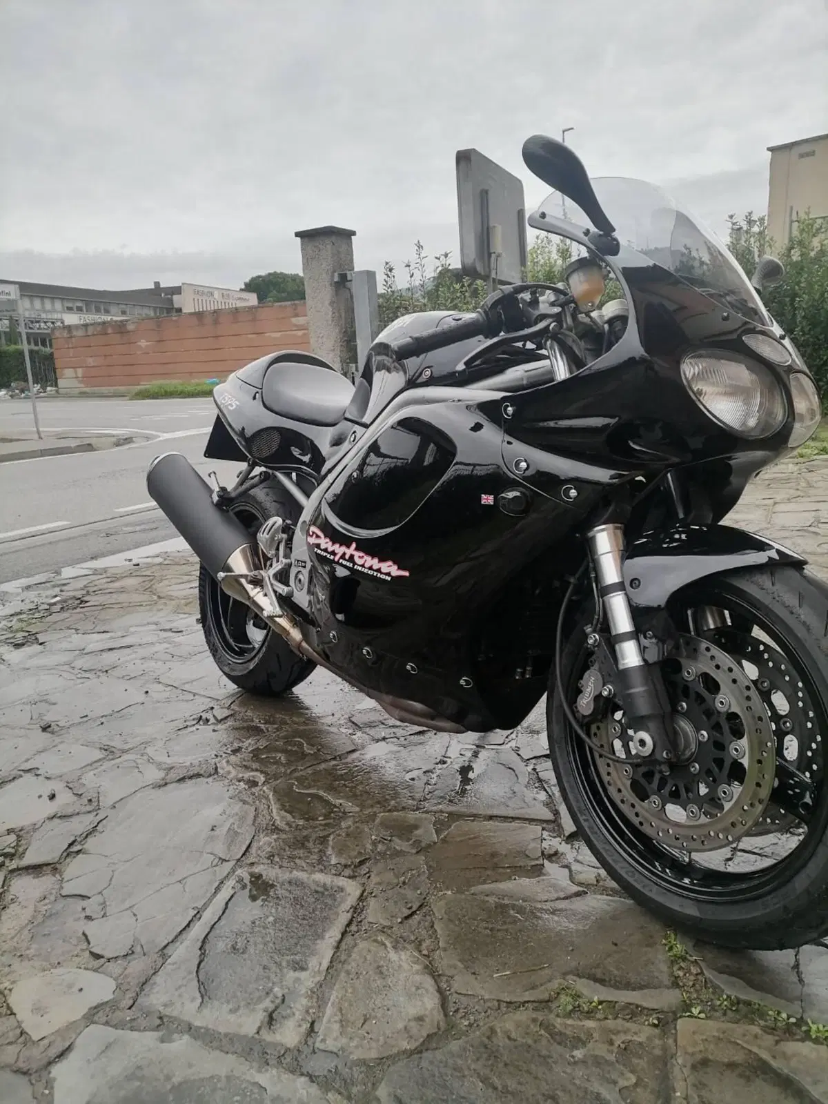 Triumph Daytona T 595 (1996 - 02) (3)