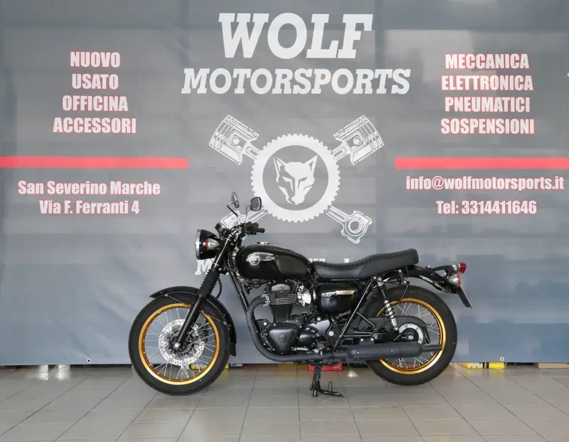 Kawasaki W 800 (2010 - 17)