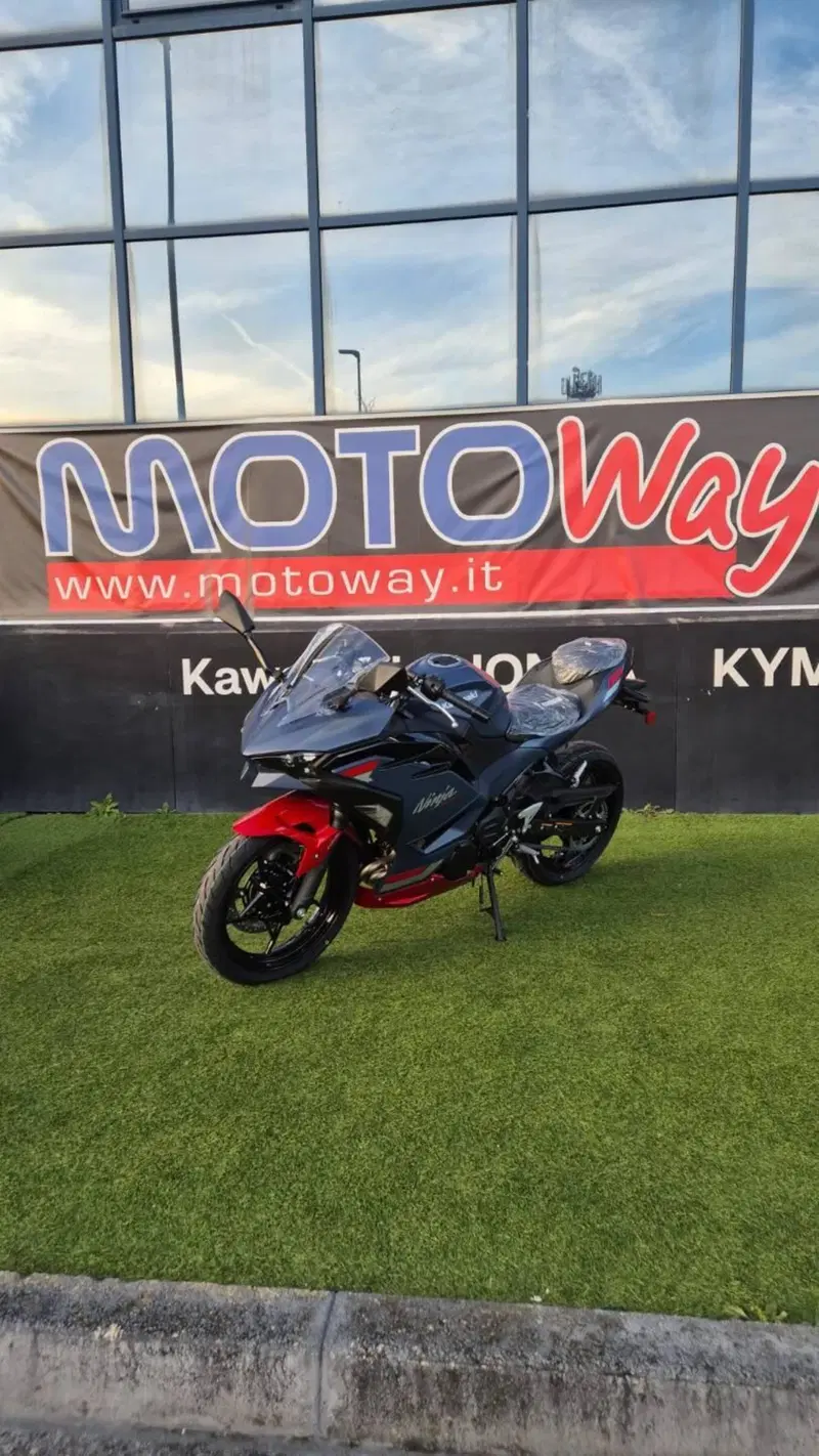 Kawasaki Ninja 500 SE (2024 - 26) (3)