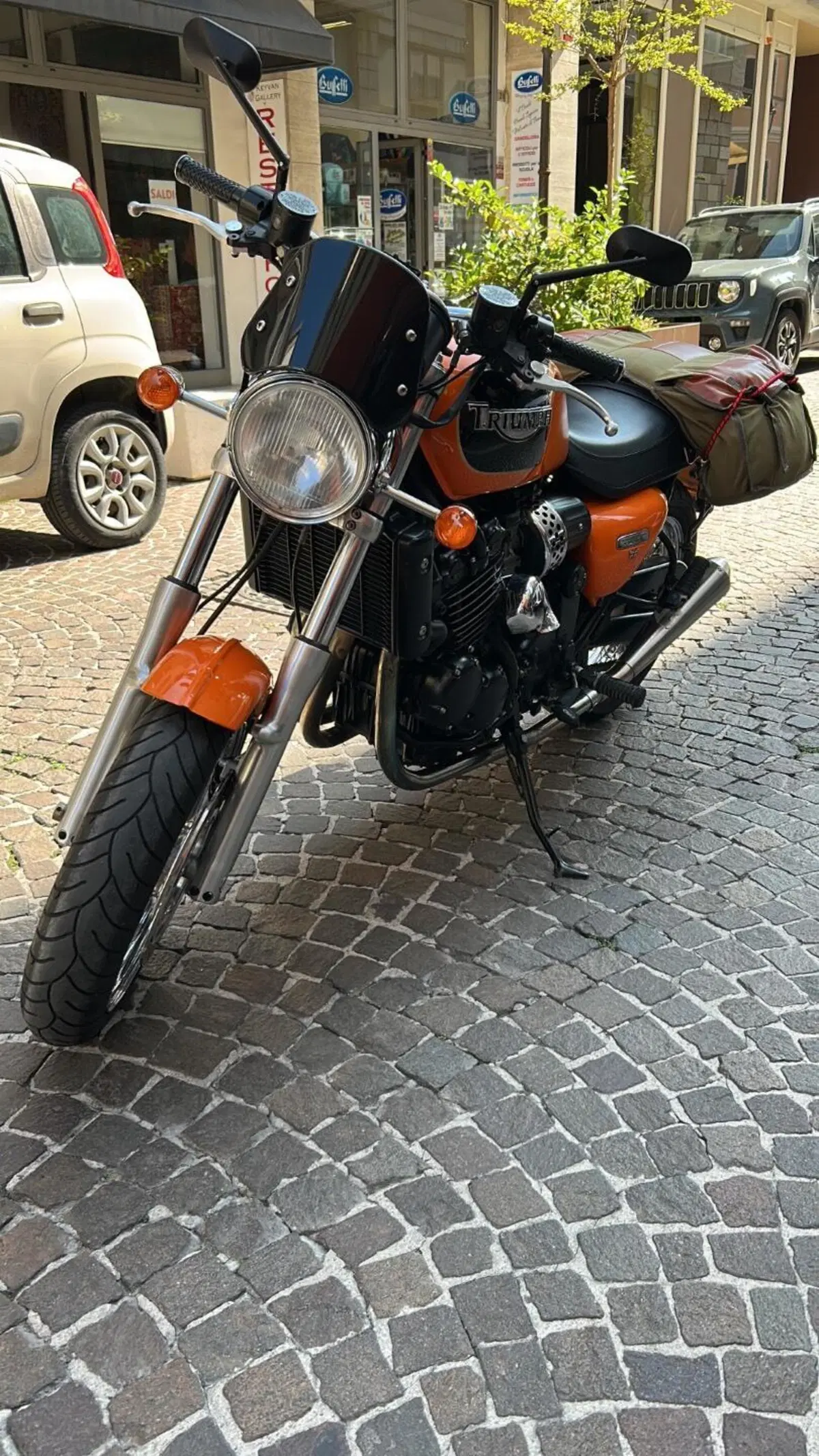Triumph Thunderbird 900 Sport (2003 - 04) (5)