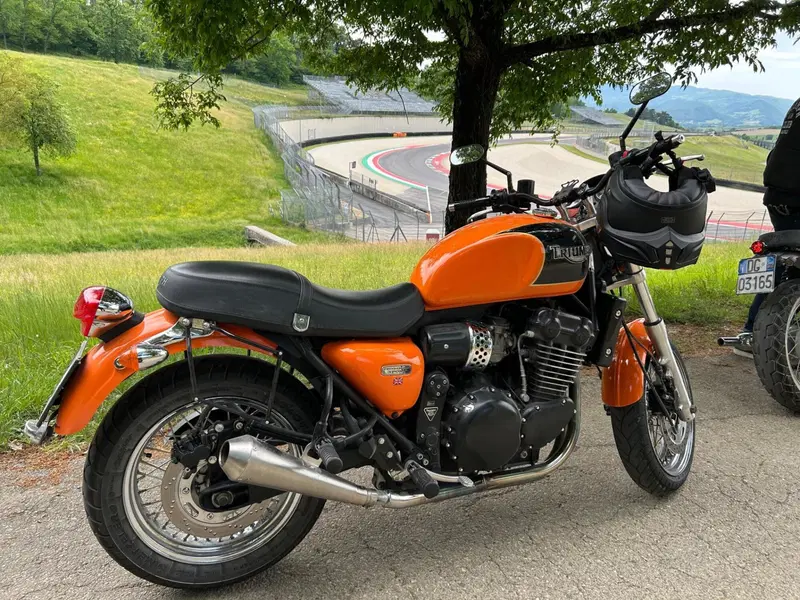 Triumph Thunderbird 900 Sport (2003 - 04) (7)