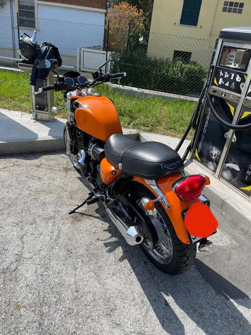 Triumph Thunderbird 900 Sport (2003 - 04) (10)