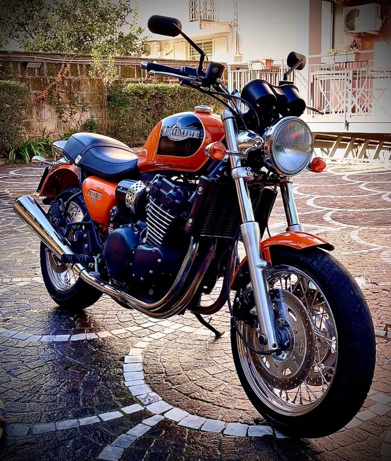 Triumph Thunderbird 900 Sport (2003 - 04) (16)