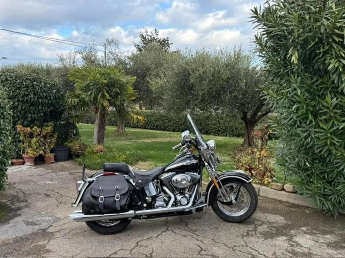 Harley-Davidson 1450 Heritage Springer (2000 - 03) - FLSTS (6)