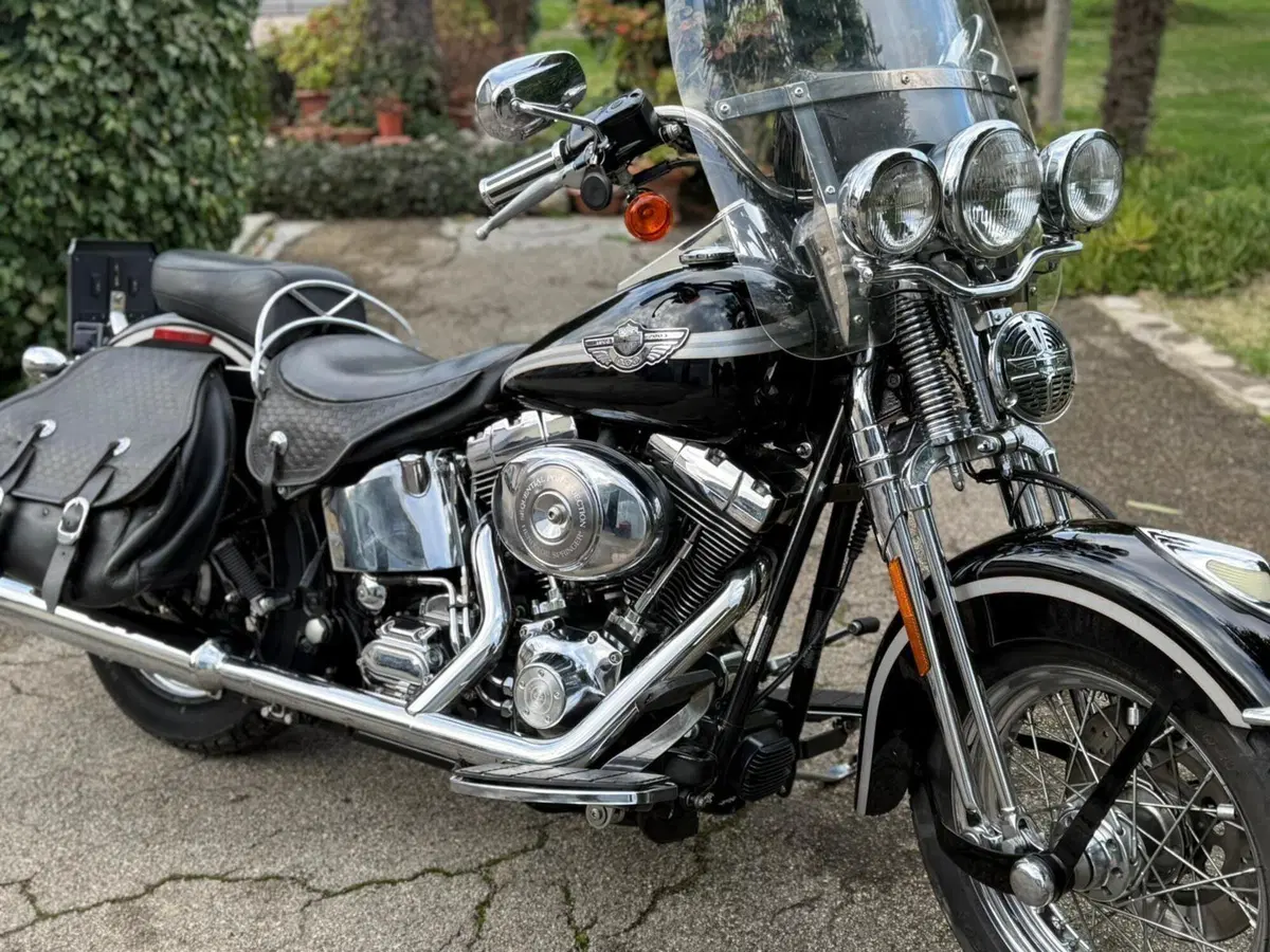 Harley-Davidson 1450 Heritage Springer (2000 - 03) - FLSTS (8)