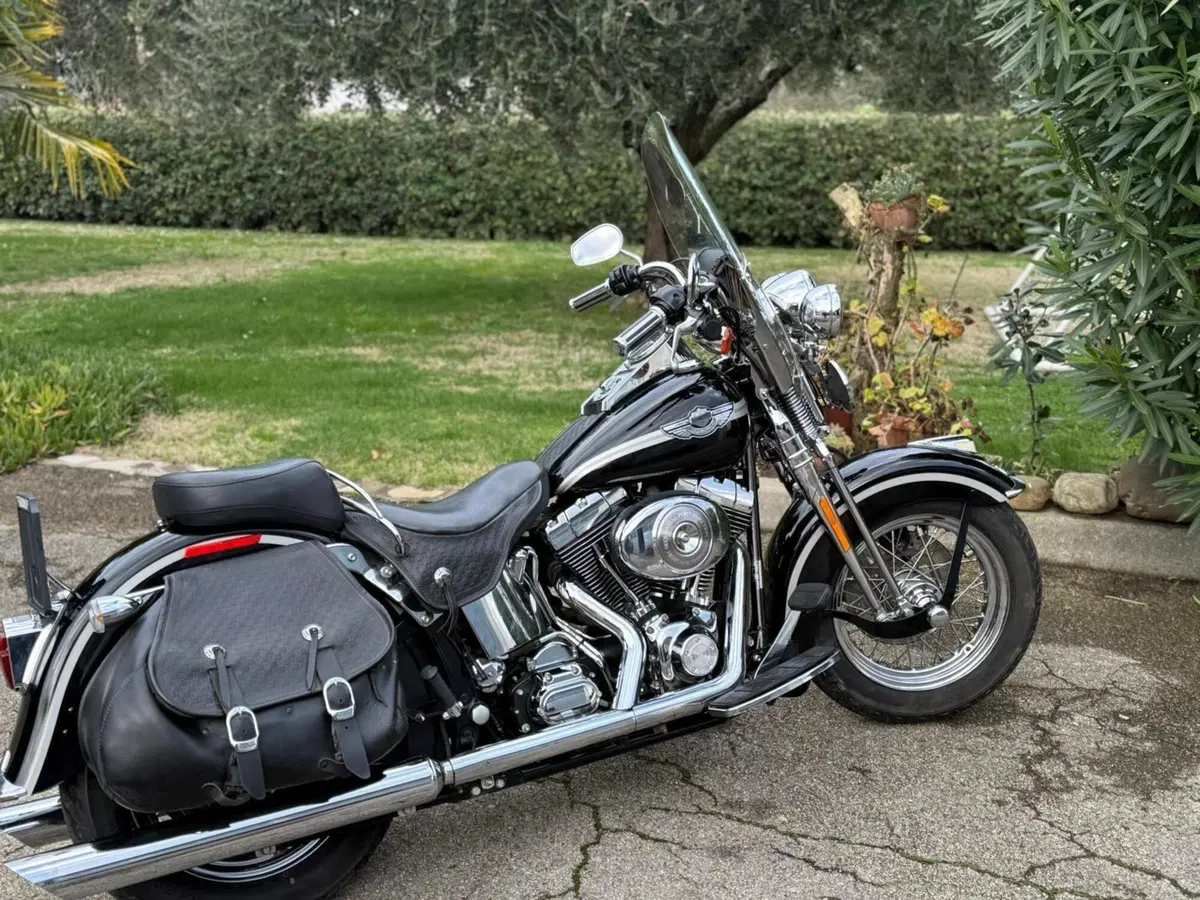Harley-Davidson 1450 Heritage Springer (2000 - 03) - FLSTS (14)