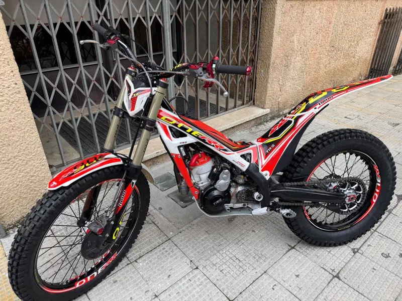 TRS Motorcycles One 300 AE (2022 - 23)