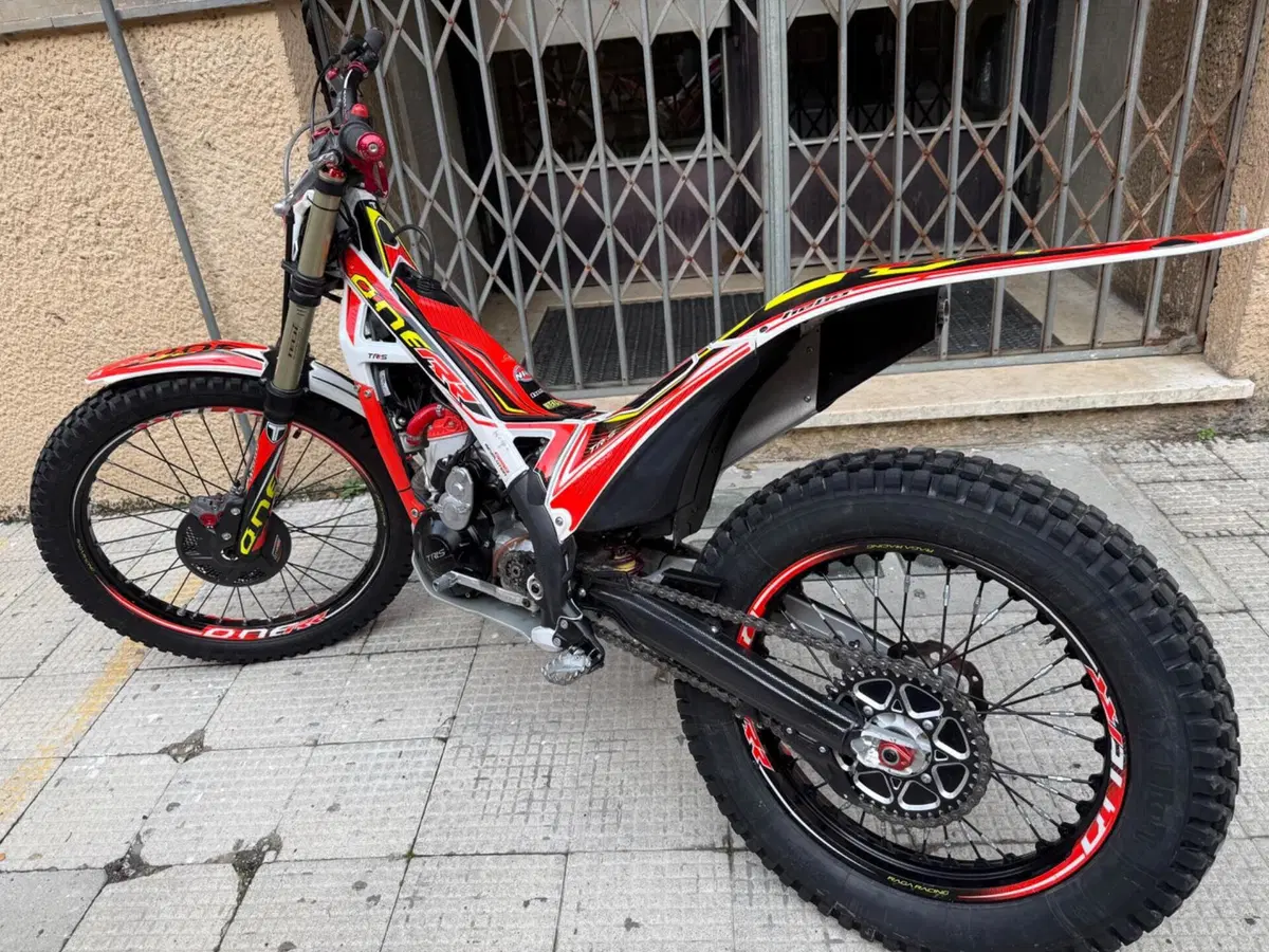 TRS Motorcycles One 300 AE (2022 - 23) (2)