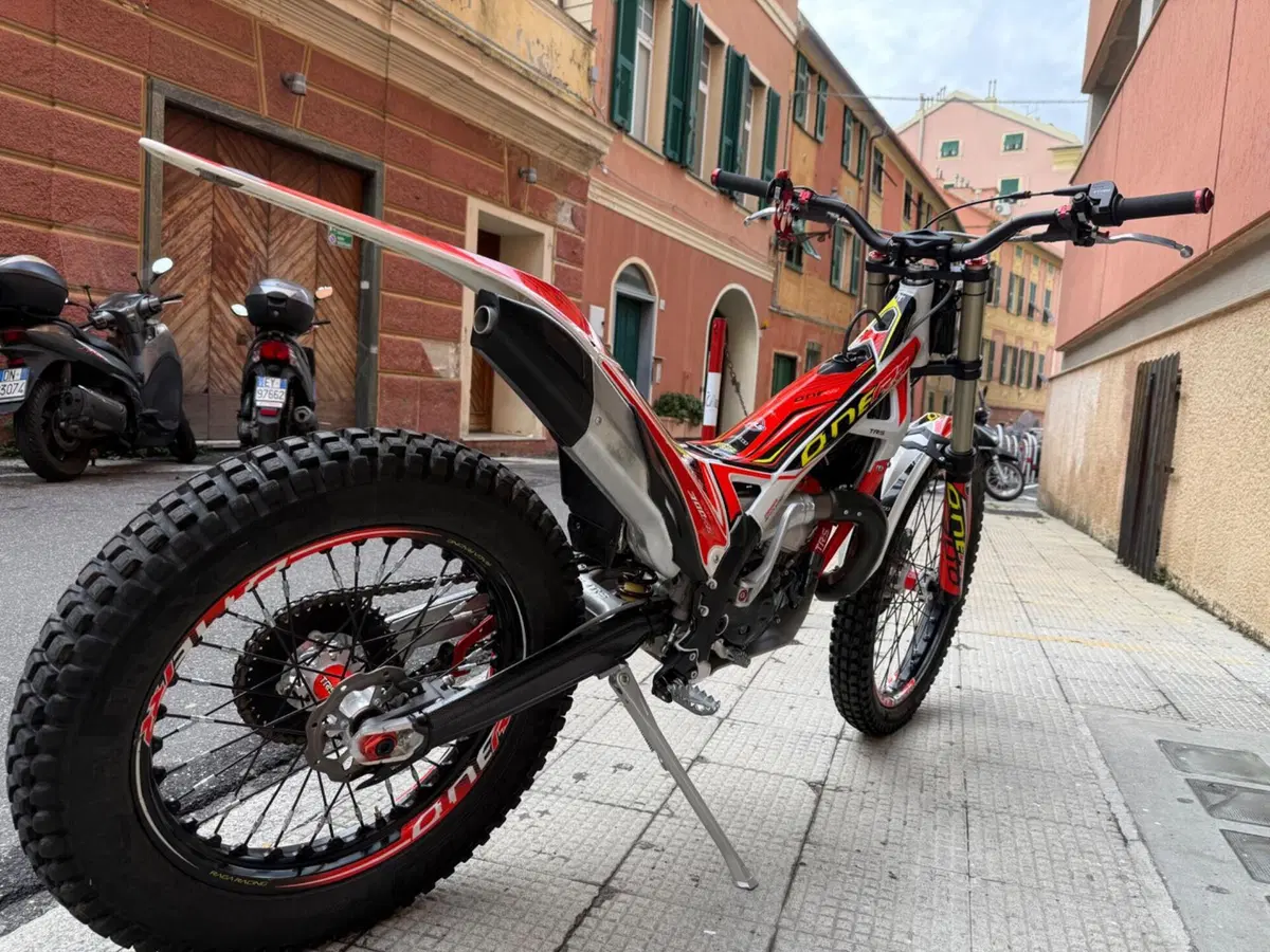 TRS Motorcycles One 300 AE (2022 - 23) (10)