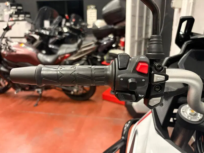 Cyclone RX600 (2025 - 26) (4)