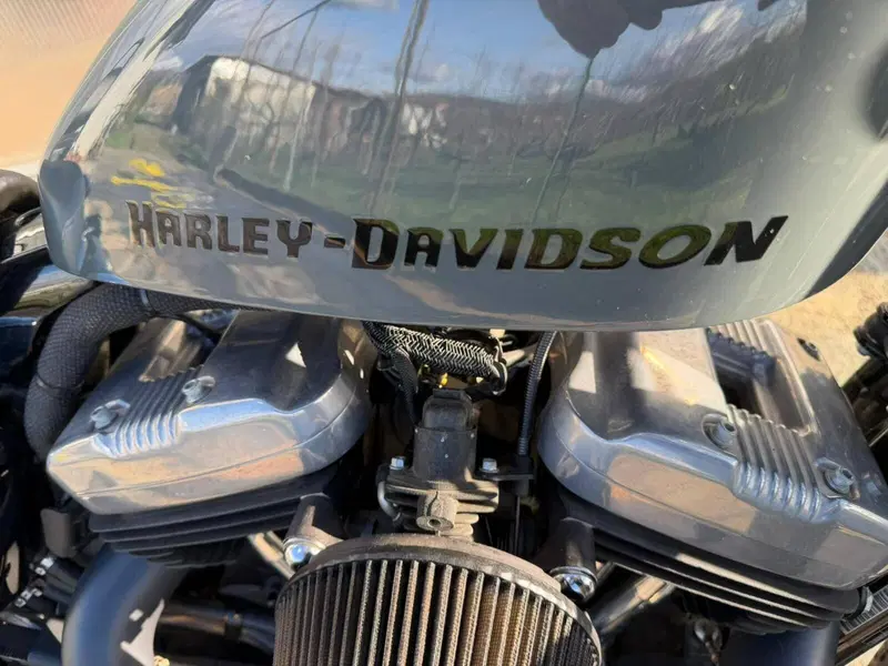 Harley-Davidson 1200 Forty-Eight (2010 - 15) (3)