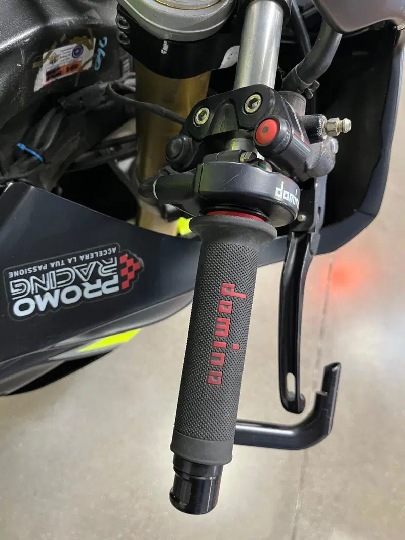 Bmw S 1000 RR (2009 - 12) (6)