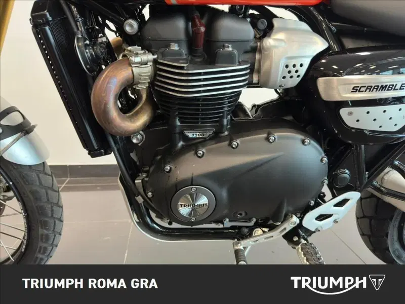 Triumph Scrambler 1200 XE (2024 - 25) (11)