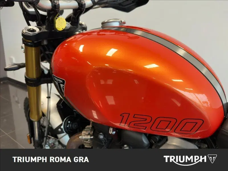 Triumph Scrambler 1200 XE (2024 - 25) (6)