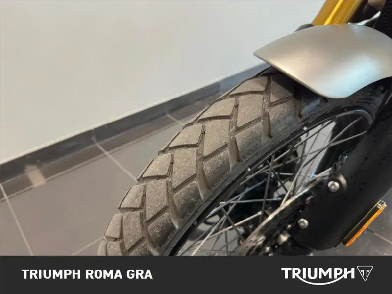 Triumph Scrambler 1200 XE (2024 - 25) (15)