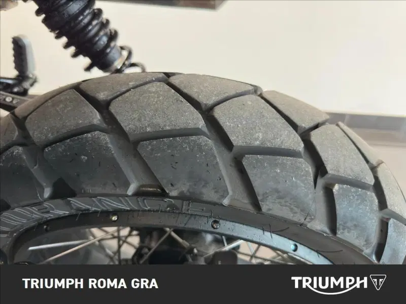 Triumph Scrambler 1200 XE (2024 - 25) (17)