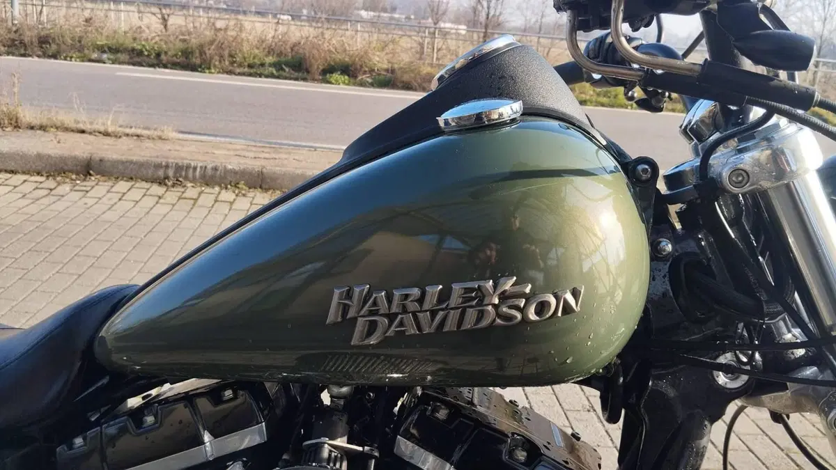 Harley-Davidson 1584 Street Bob (2008 - 15) - FXDB (2)