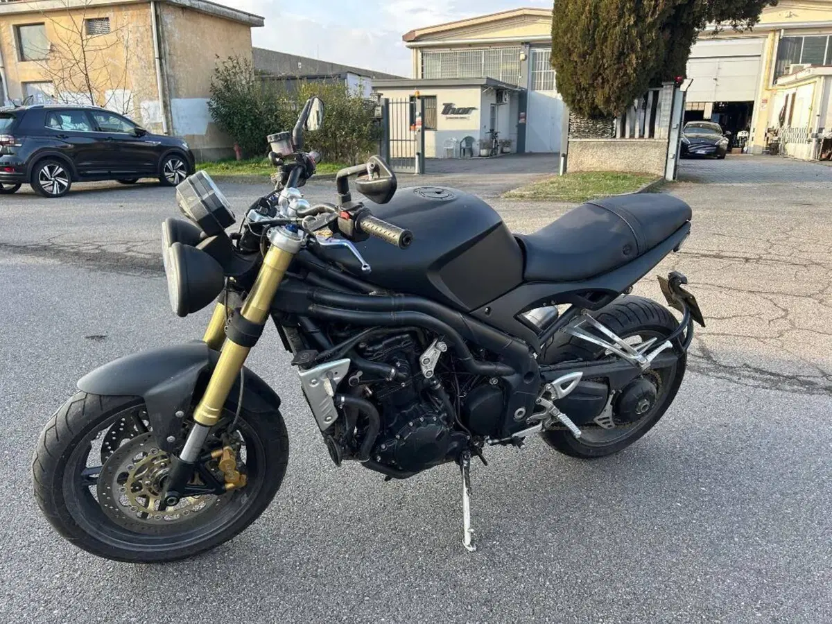 Triumph Speed Triple 1050 (2005 - 11) (3)