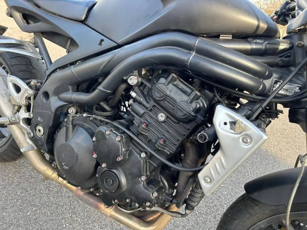 Triumph Speed Triple 1050 (2005 - 11) (7)