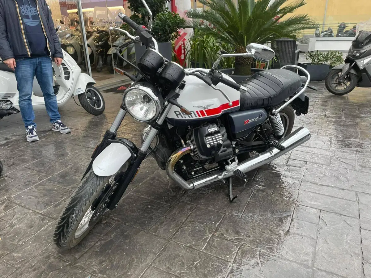 Moto Guzzi V7 850 Stone Special Abs (2021)