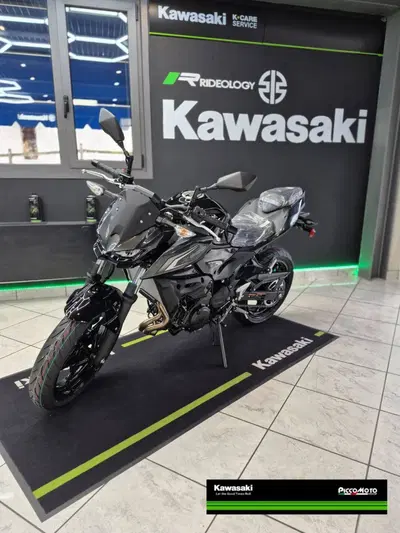 Kawasaki Z 500 (2024 - 26) nuova