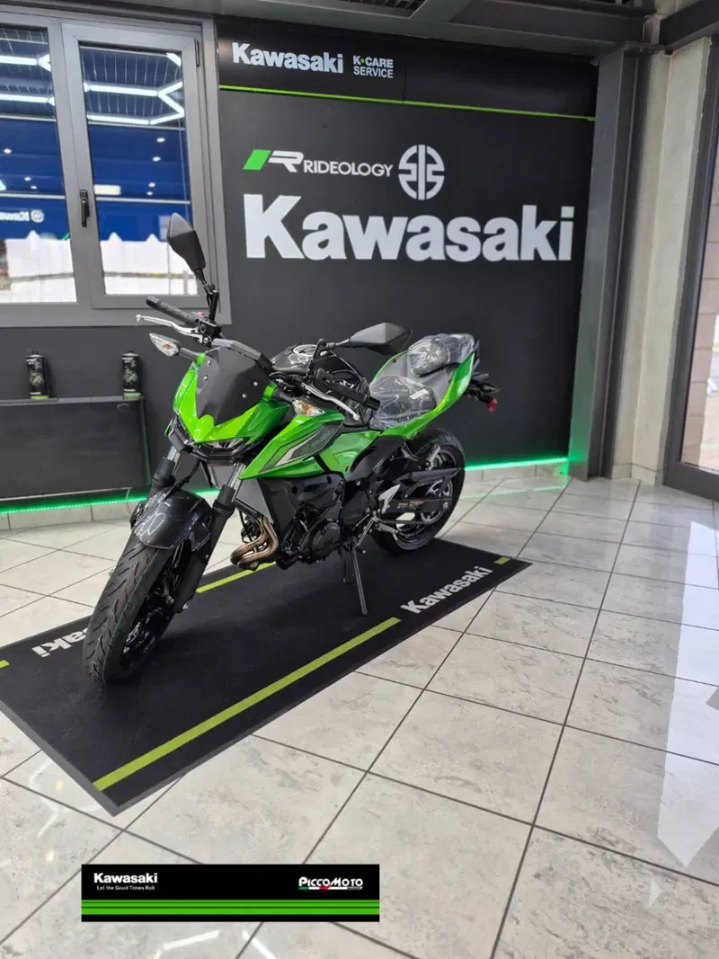 Kawasaki Z 500 (2024 - 26) (2)