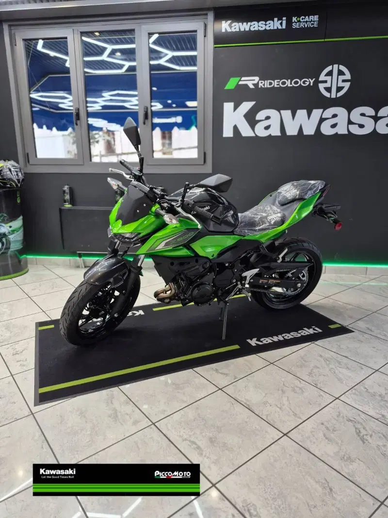 Kawasaki Z 500 (2024 - 26) (3)